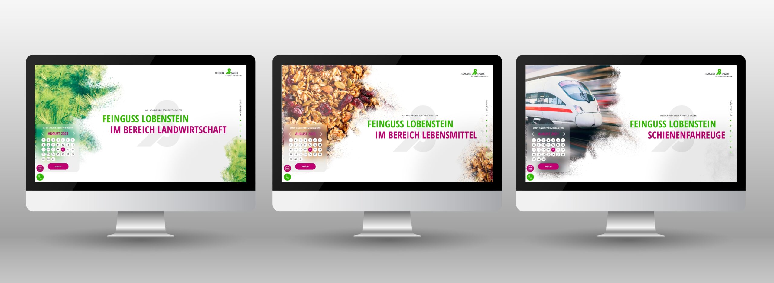 Drei nebeneinanderstehende Computerbildschirme zeigen unterschiedliche Branchen-Webseiten von Schubert & Salzer Feinguss Lobenstein für Landwirtschaft, Lebensmittel und Schienenfahrzeuge, jeweils mit branchenspezifischen Bildmotiven und modernem Webdesign